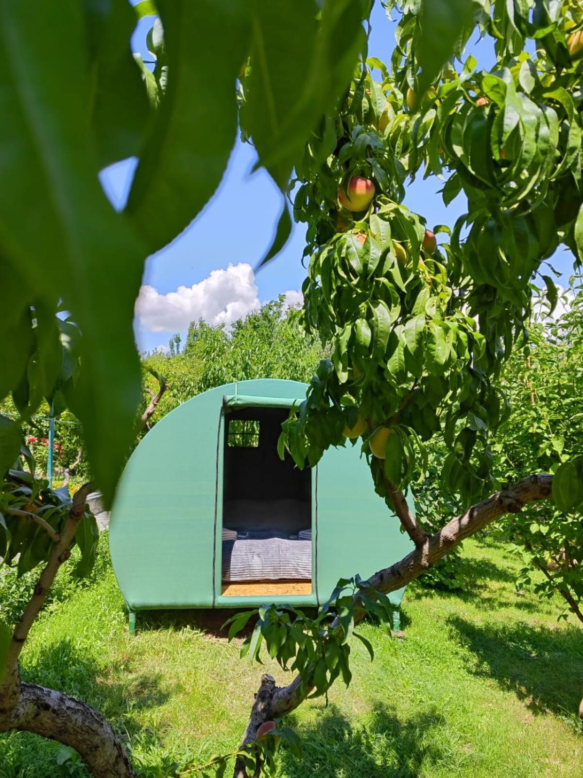 Nataly Campsite Yeghegnadzor Exterior foto