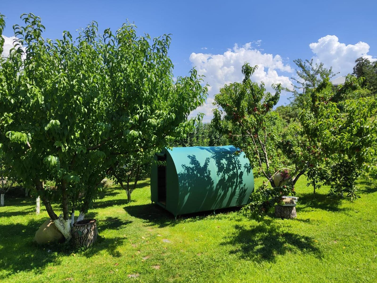 Nataly Campsite Yeghegnadzor Exterior foto